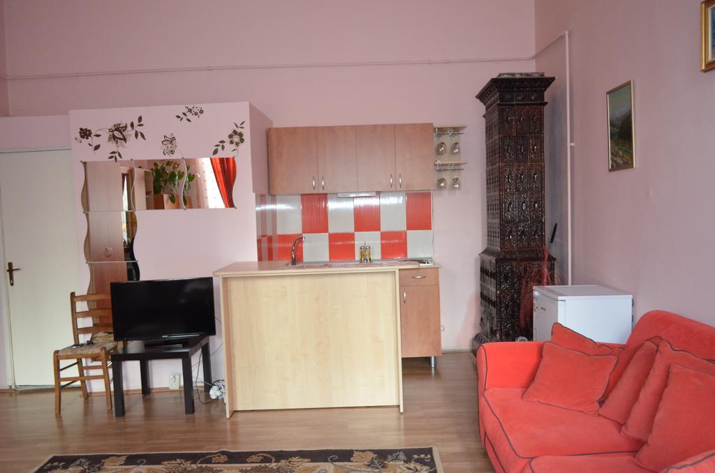 Cosy Studio Lägenhet Cluj-Napoca Exteriör bild