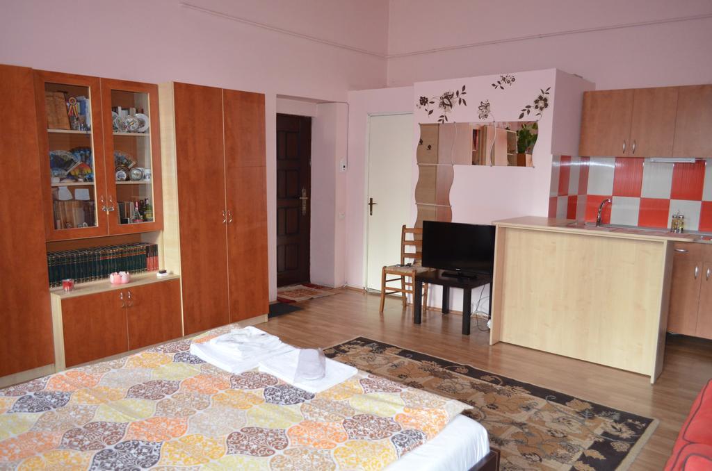 Cosy Studio Lägenhet Cluj-Napoca Exteriör bild