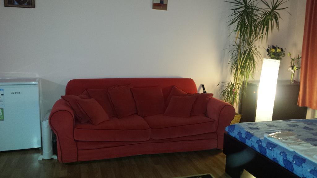 Cosy Studio Lägenhet Cluj-Napoca Exteriör bild